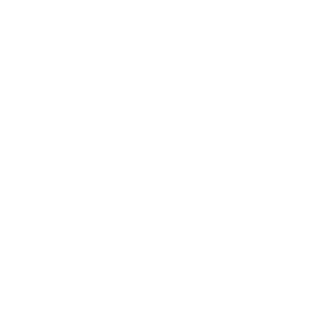Logo Plan Beagle