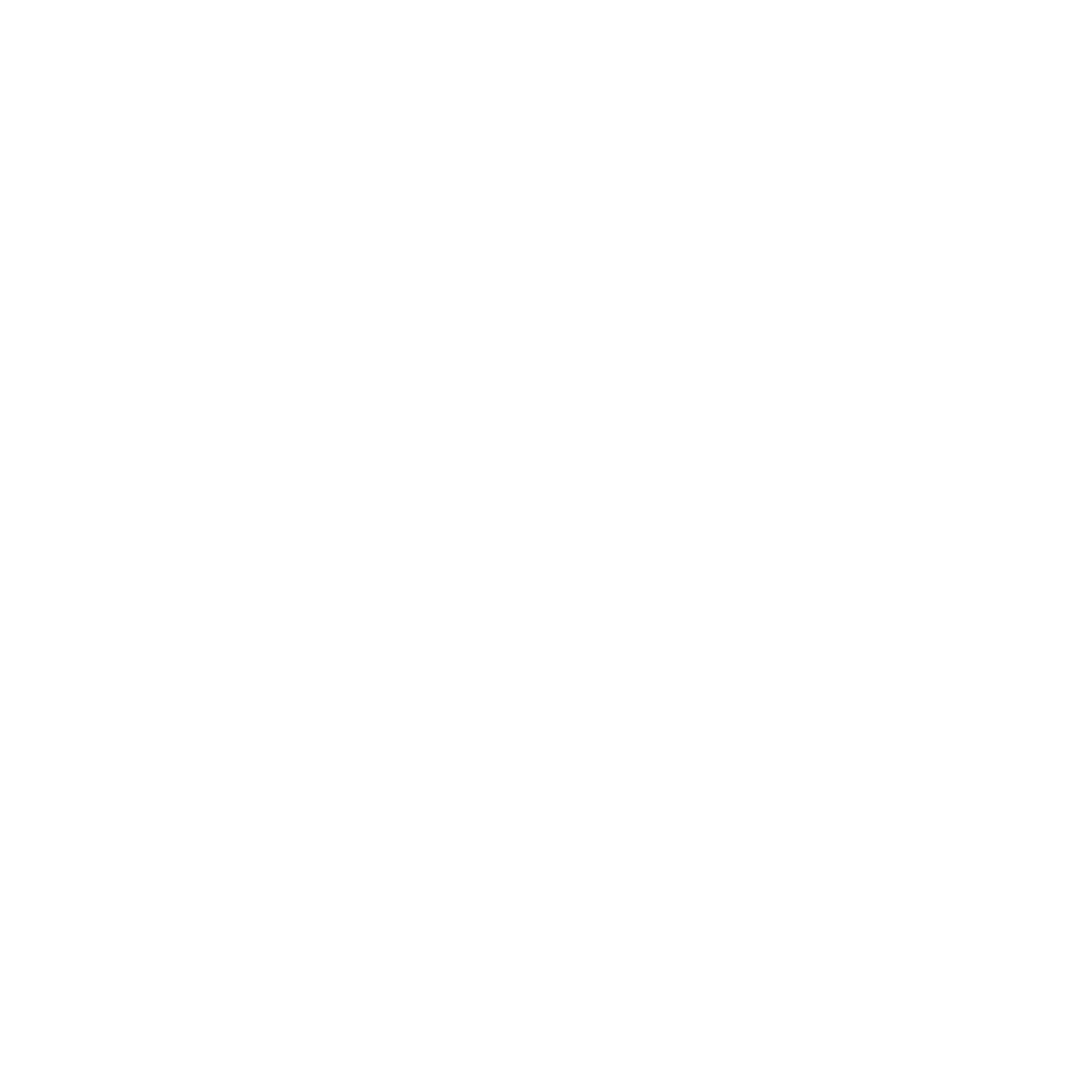 Logo Plan Husky